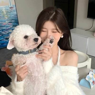 热血长安第二季